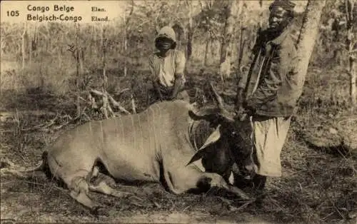 Ganzsachen Ak Belgisch Kongo Demokratische Republik Kongo Zaire, Elenantilope