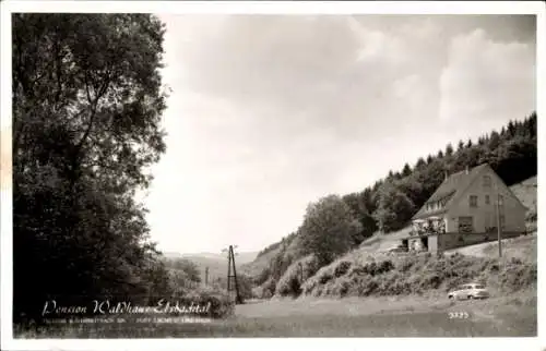 Ak Waldbreitbach an der Wied, Pension Waldhaus Elzbachtal