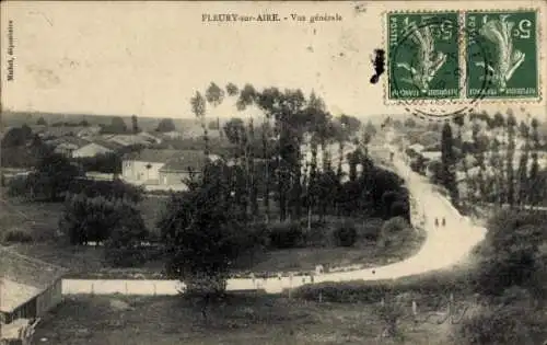 Ak Fleury sur Aire Meuse, Vue generale