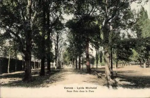 Ak Vanves Hauts de Seine, Lycee Michelet, Sous Bois dans le Parc