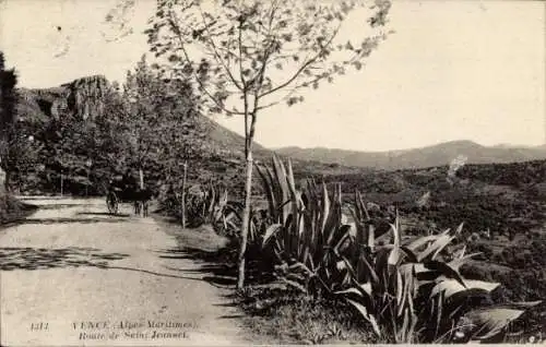 Ak Vence Alpes Maritimes, Route de Saint Jeannet