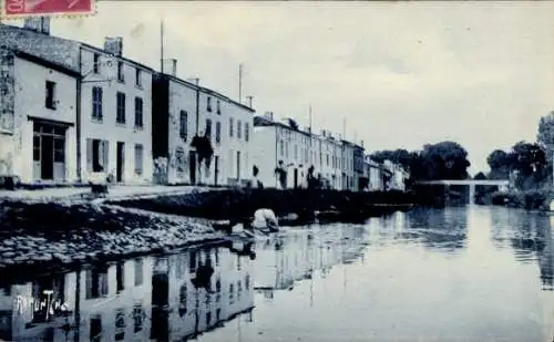 Ak Coulon Deux Sèvres, La Sevre Niortaise