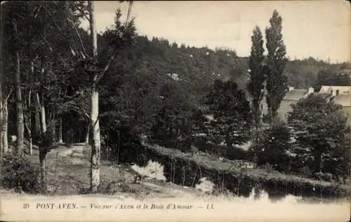 Ak Pont Aven Finistère, Vue sur l'Aven et le Bois d'Amour