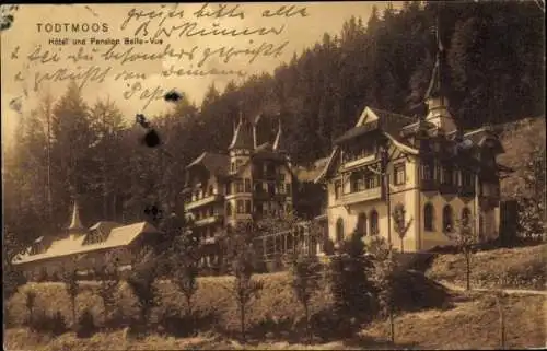 Ak Todtmoos im Hochschwarzwald, Hotel Belle Vue, Villa