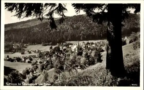 Ak Todtmoos im Schwarzwald, Teilansicht, Blick von Osten