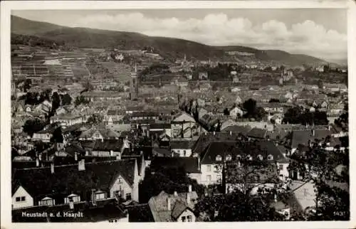 Ak Neustadt an der Weinstraße, Gesamtansicht