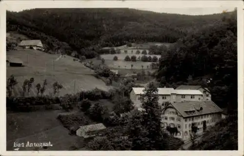 Ak Bad Antogast Oppenau im Schwarzwald, Teilansicht