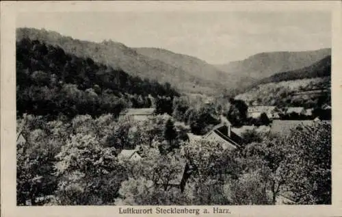 Ak Stecklenberg Thale im Harz, Panorama