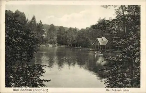 Ak Bad Sachsa im Harz, Schmelzteich