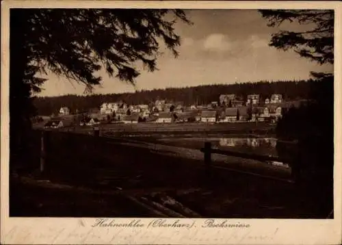 Ak Hahnenklee Bockswiese Goslar im Harz, Totalansicht, Bockswiese