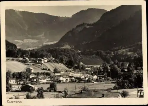 Ak Eisenärzt Siegsdorf in Oberbayern, Totalansicht