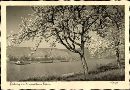 Ak Boppard am Rhein, Teilansicht, Schiffe, Frühling