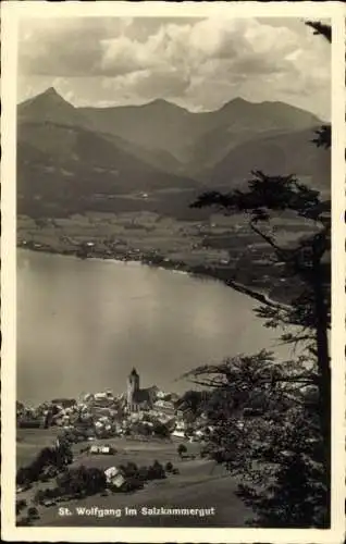 Ak St. Wolfgang im Salzkammergut Oberösterreich, Gesamtansicht