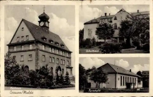 Ak Crossen Zwickau, Schulhaus, Turnhalle, Rathaus