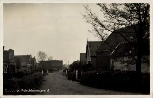 Ak Ouddorp Südholland, Ruischboomgaard