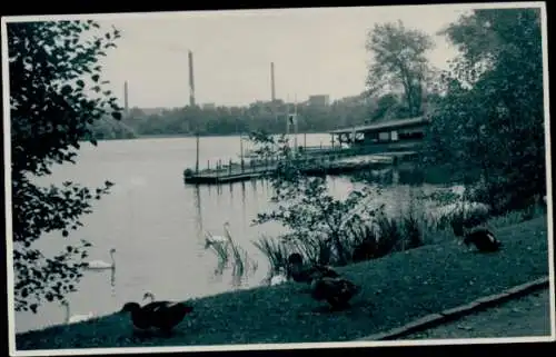 Foto Zwickau in Sachsen, See, Enten, Boote