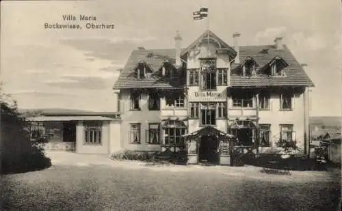 Ak Hahnenklee Bockswiese Goslar im Harz, Villa Maria