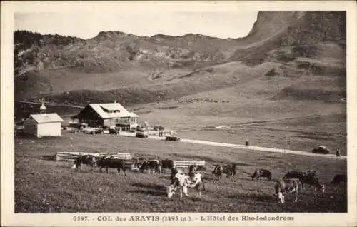 Ak Col de Aravis Haute-Savoie, L'Hotel des Rhododendrons