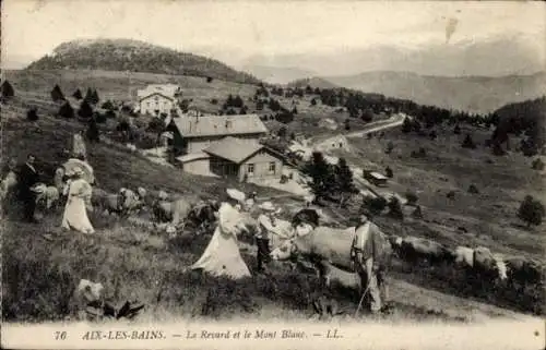 Ak Aix les Bains Savoie, Le Revard, Mont Blanc, Kühe