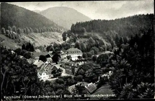 Ak Katzhütte Oelze Oberes Schwarzatal, Blick vom Bismarckdenkmal