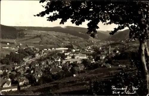 Foto Ak Steinach im Thüringer Wald, Panorama