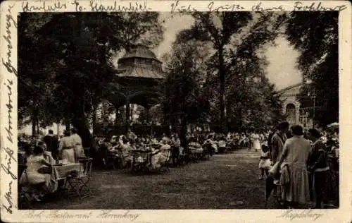 Ak Herrenkrug Magdeburg, Park Restaurant Herrenkrug, Gäste