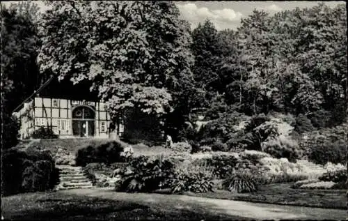 Ak Bielefeld in Nordrhein Westfalen, Botanischer Garten