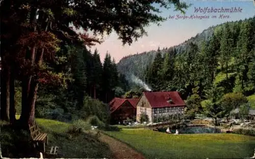 Ak Braunlage im Oberharz, Wolfsbachmühle