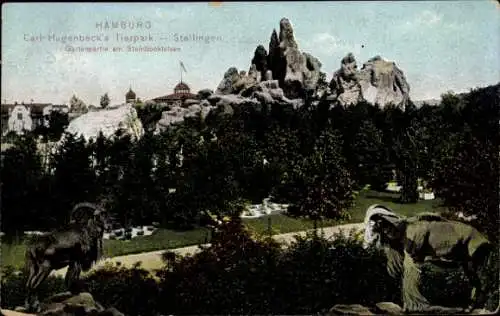 Ak Hamburg Eimsbüttel Stellingen, Hagenbeck's Tierpark, Steinböcke, Felsen