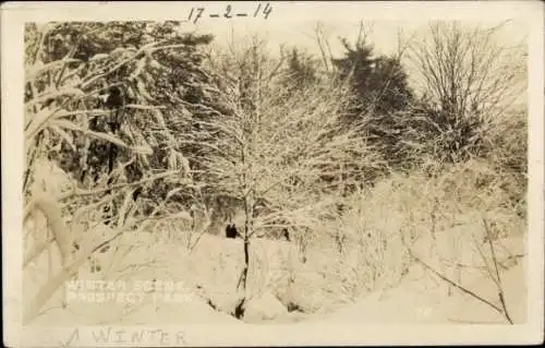 Ak Brooklyn New York City USA, Prospect Park, Winterlandschaft