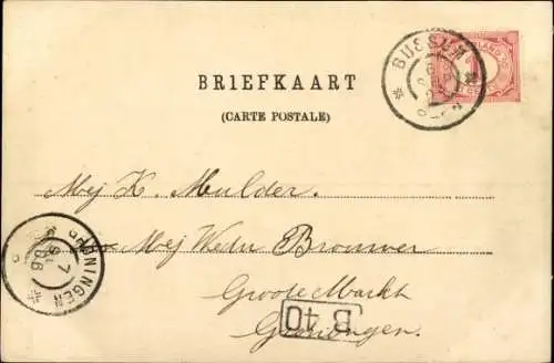 Ak Bussum Nordholland Niederlande, Brinklaan