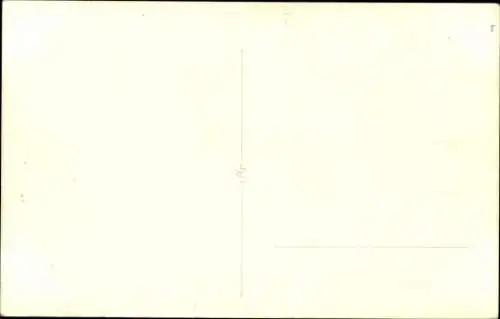 Foto Ak Blankenburg am Harz, Gesamtansicht