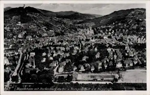 Ak Heppenheim an der Bergstraße, Starkenburg, Fliegeraufnahme