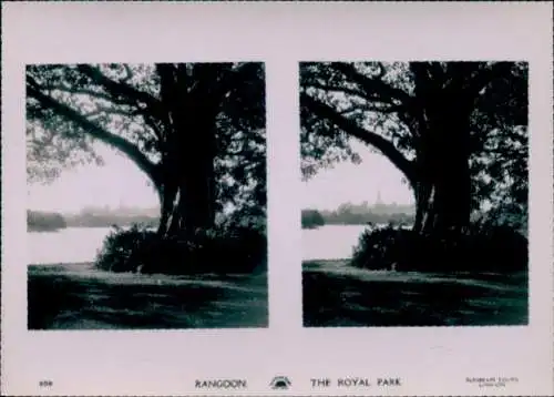 Stereo Foto Rangun Rangoon Myanmar, The Royal Park