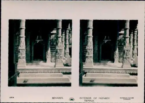 Stereo Foto Varanasi Benares Indien, Monkey Temple