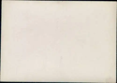 Stereo Foto Kandy Sri Lanka Ceylon, The College Elephant