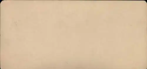 Stereo Foto Paris XVI, Elefant, Jardin d'Acclimatation