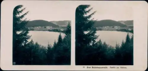 Stereo Foto Titisee Neustadt im Breisgau Hochschwarzwald, Seepartie