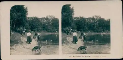 Stereo Foto Villebon Essonne, L'Etang