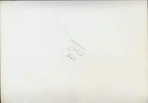 Foto Pferd, Teilansicht