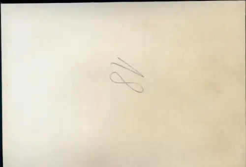 Foto Pferd, Teilansicht