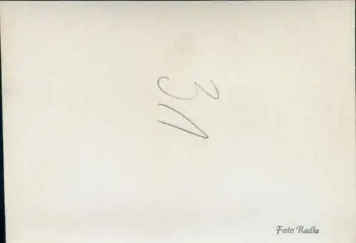 Foto Pferd, Teilansicht