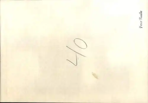 Foto Pferd, Tierporträt, Zaumzeug