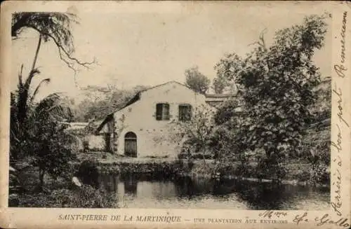 Ak Saint-Pierre Martinique, Eine Plantage in der Umgebung