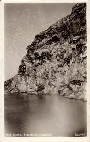 Ak Fuglebjerg Norwegen, Nordland, Felsen