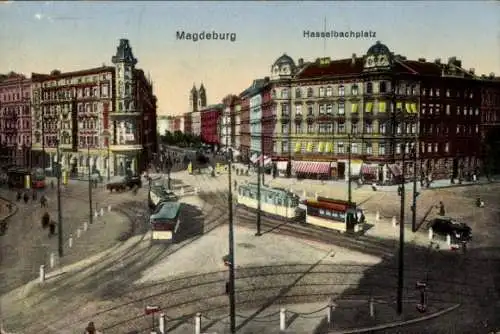 Ak Magdeburg in Sachsen Anhalt, Hasselbachplatz, Straßenbahnen