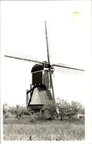 Foto Niederlande, Windmühle, Wiese