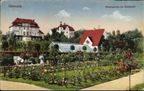 Ak Chemnitz in Sachsen, Stadtpark, Rosengarten