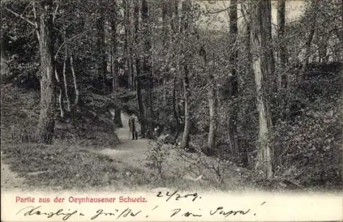 Ak Bad Oeynhausen in Westfalen, Oeynhausener Schweiz