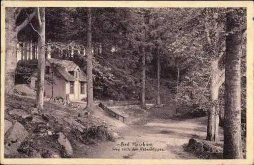 Ak Bad Harzburg am Harz, Weg nach den Rabenklippen